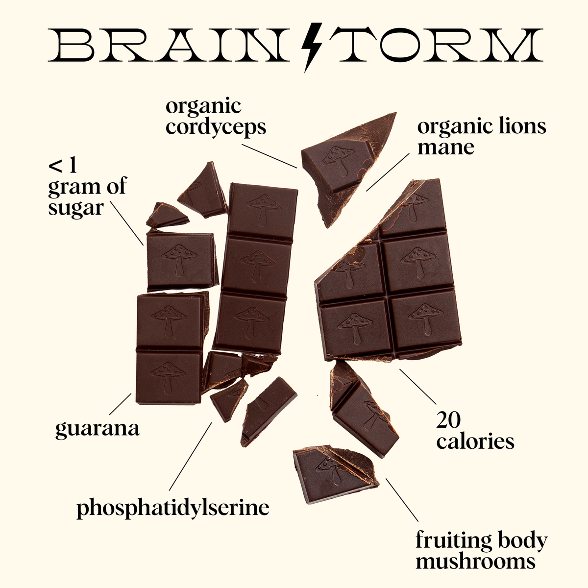 Brainstorm — mushroom chocolate supplement for focus