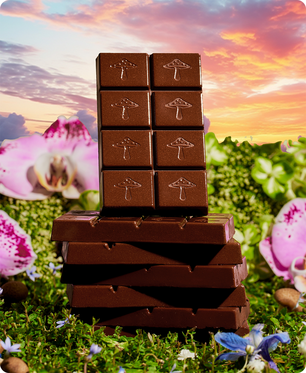Happy Ending - mushroom chocolate supplement for wellness