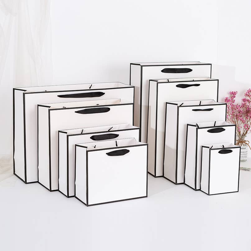 White with Black Border Paper Gift Bag w/ free tissue: V0