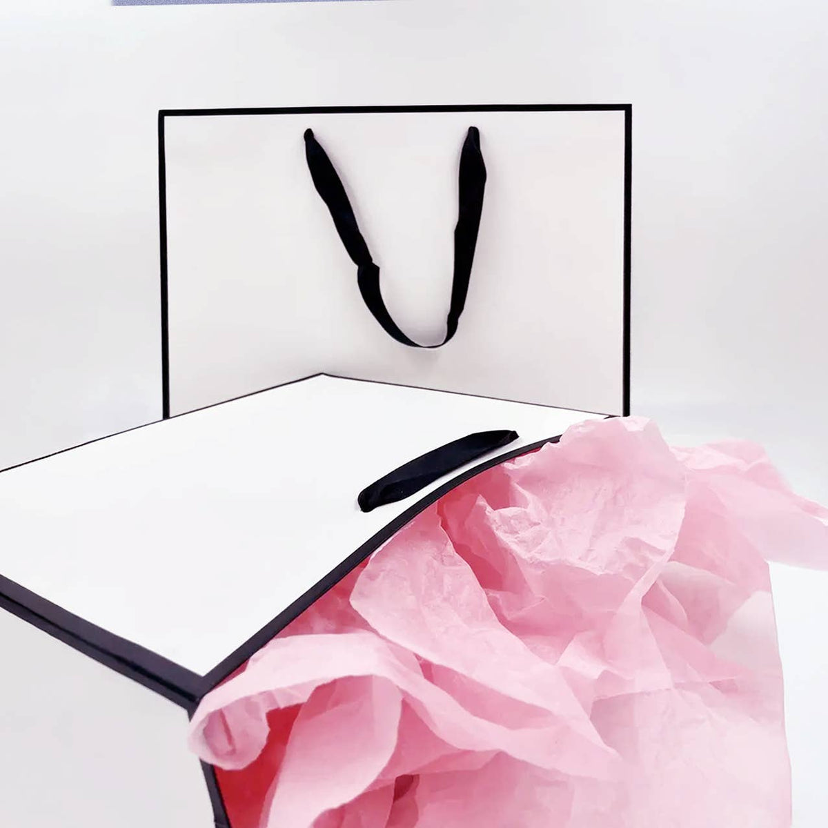 White with Black Border Paper Gift Bag w/ free tissue: H5