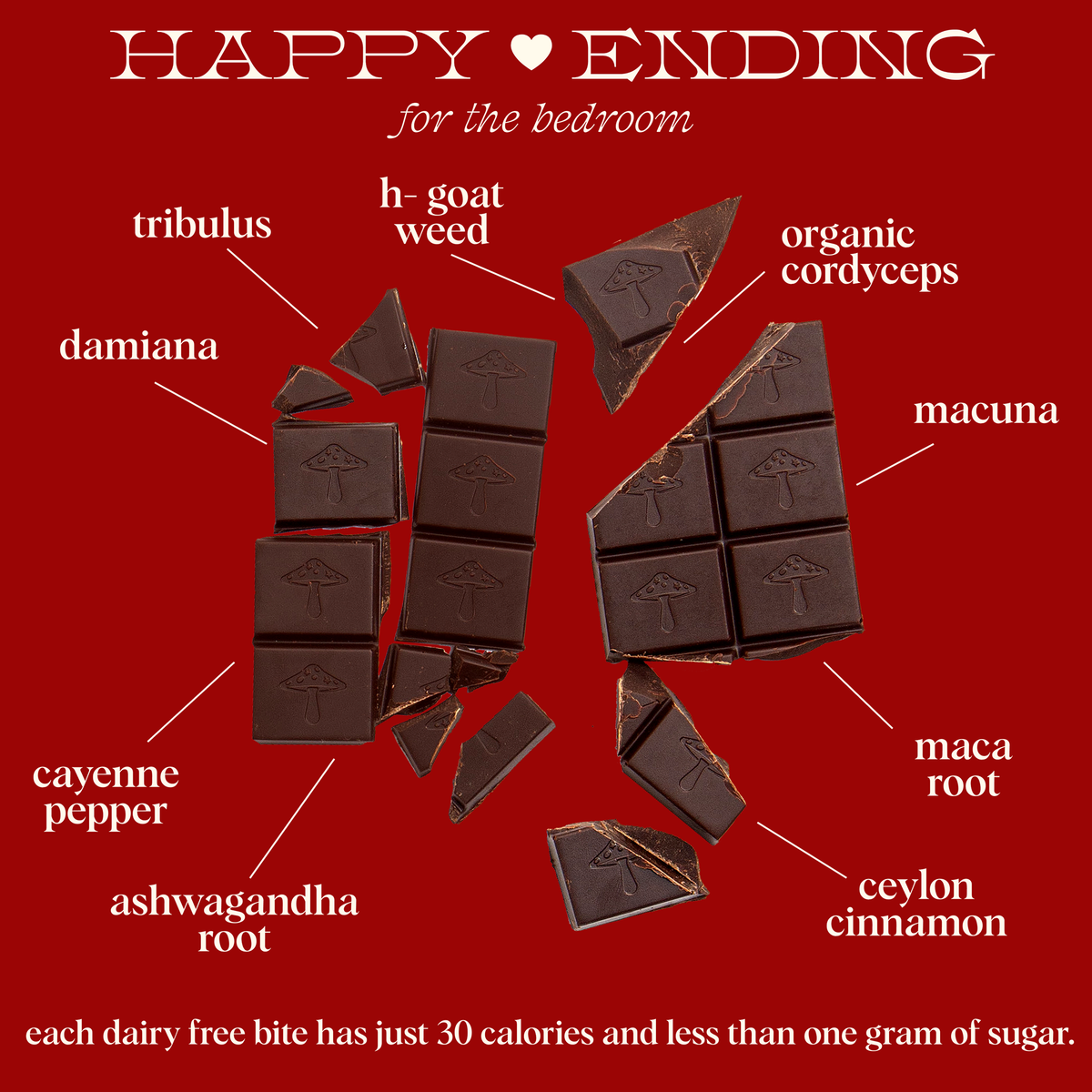 Happy Ending - mushroom chocolate supplement for wellness