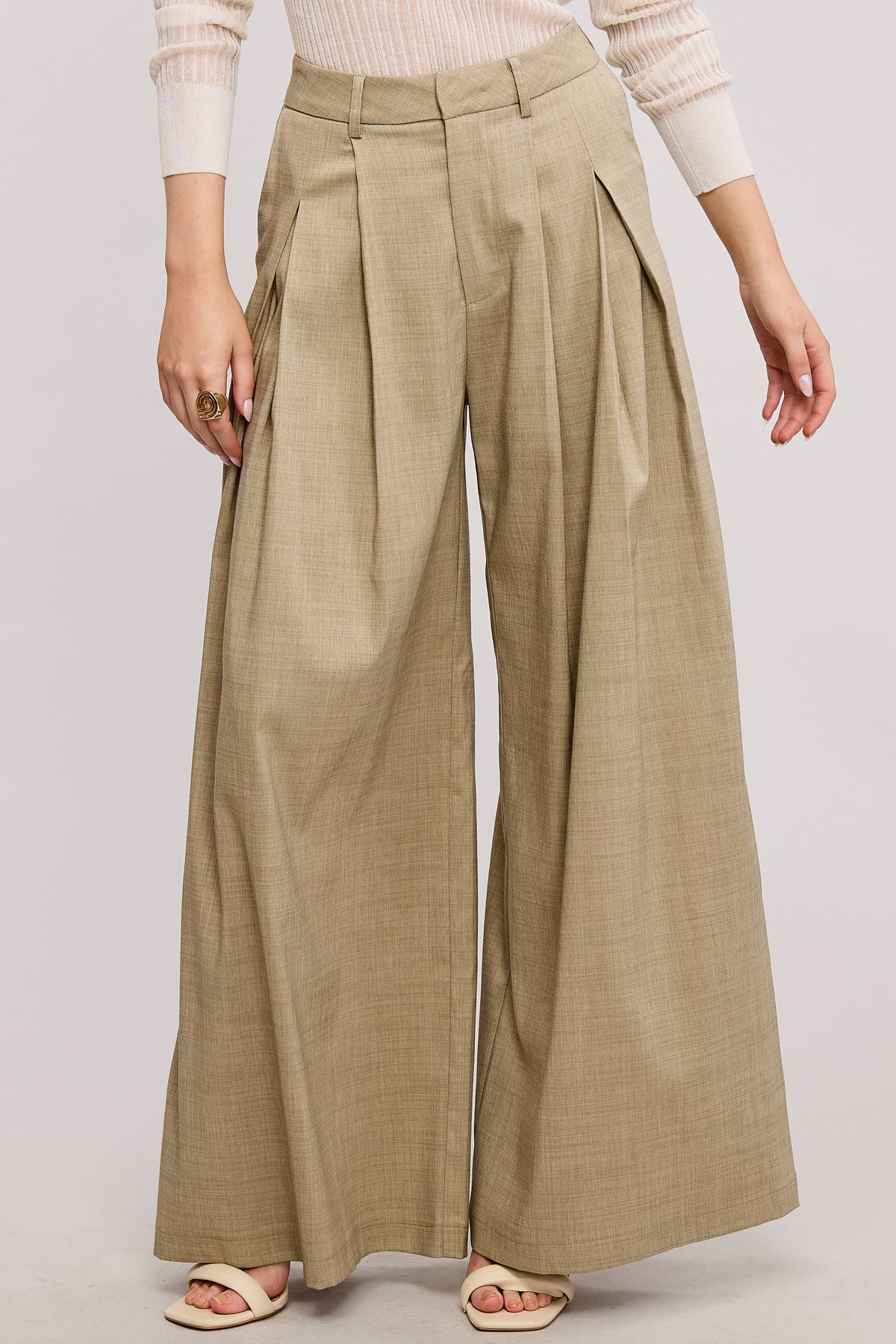 Trendy Low Waist  Wide Leg Pleated Trouser Pants: BEIGE / S