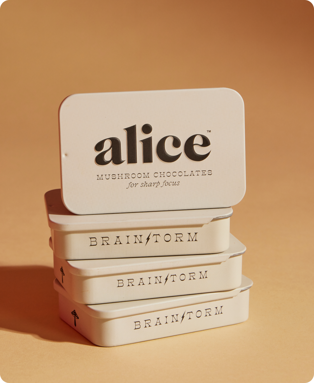 Brainstorm — mushroom chocolate supplement for focus