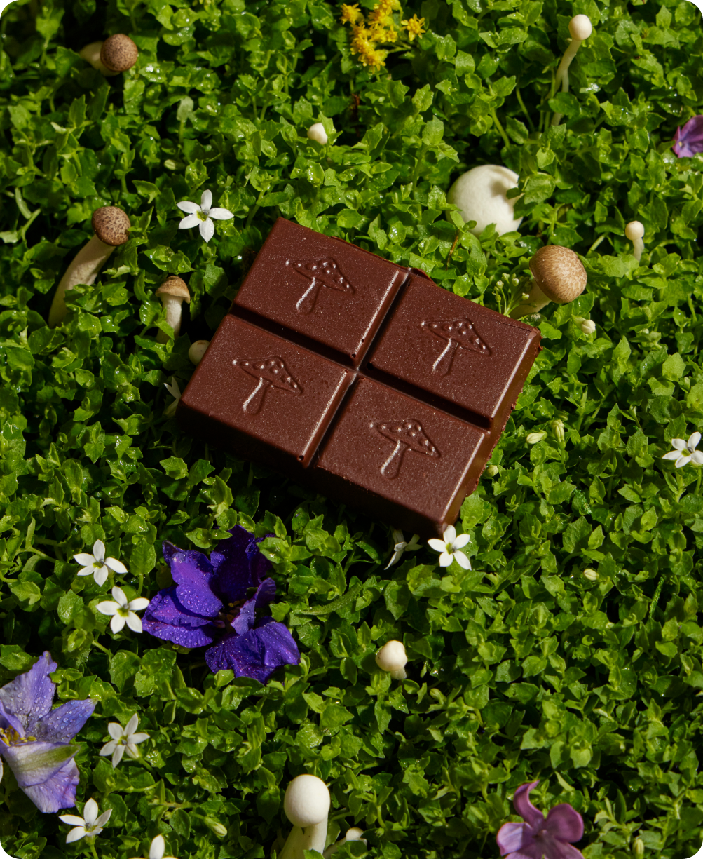 Nightcap — mushroom chocolate supplement for deep sleep