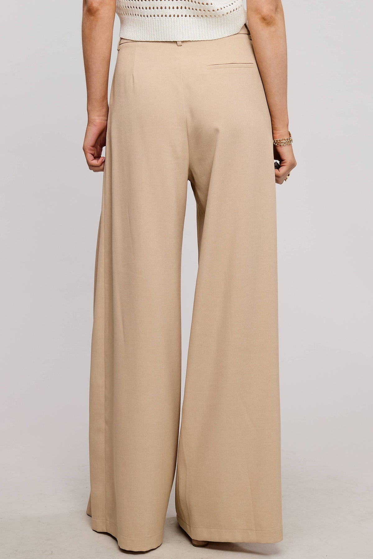 Trendy Low Waist  Wide Leg Pleated Trouser Pants: BEIGE / S