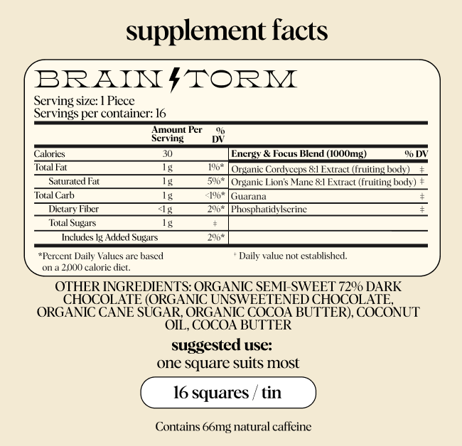 Brainstorm — mushroom chocolate supplement for focus