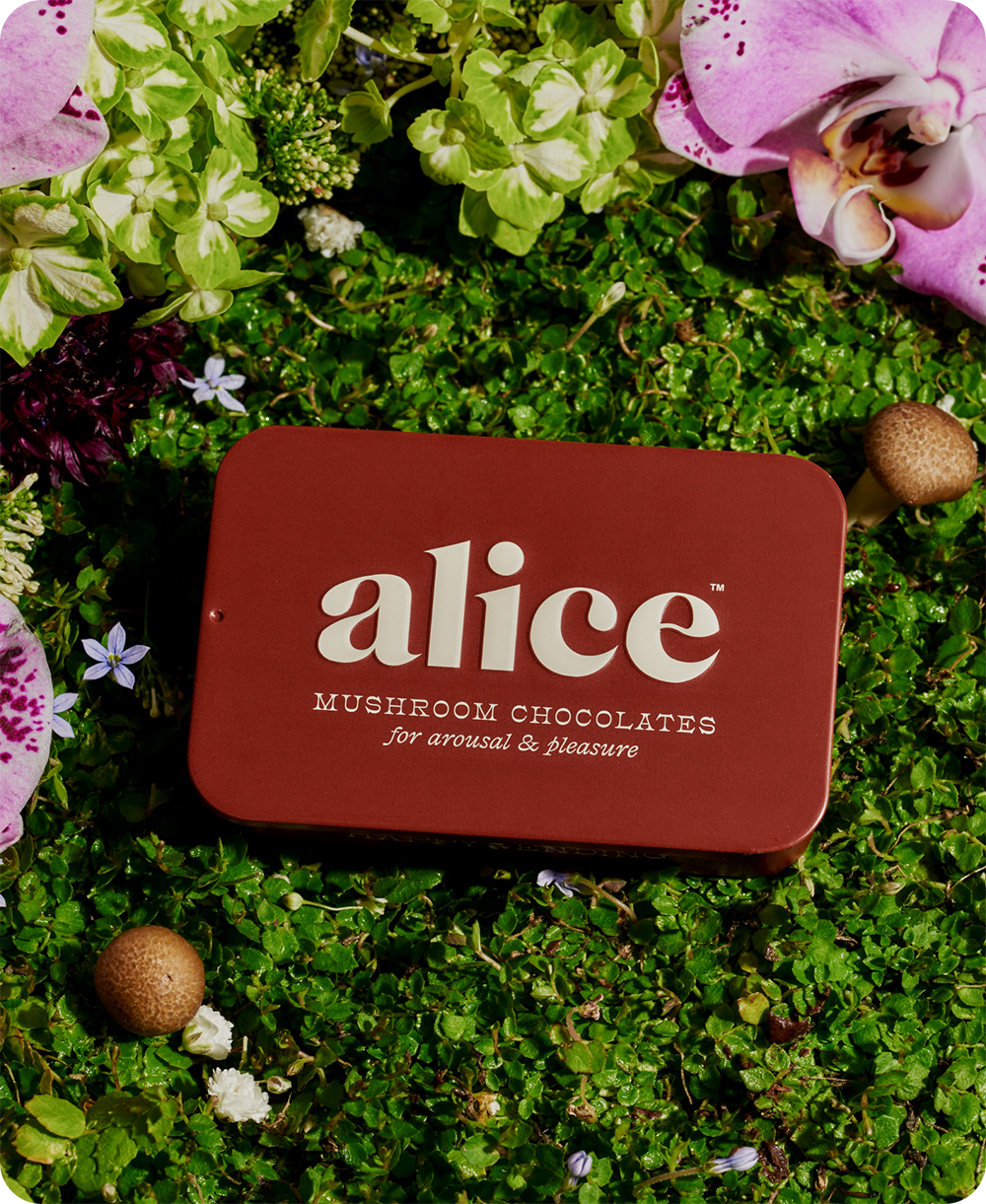 Happy Ending - mushroom chocolate supplement for wellness