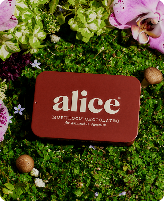 Happy Ending - mushroom chocolate supplement for wellness